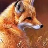 Ayse Yilmaz avatar